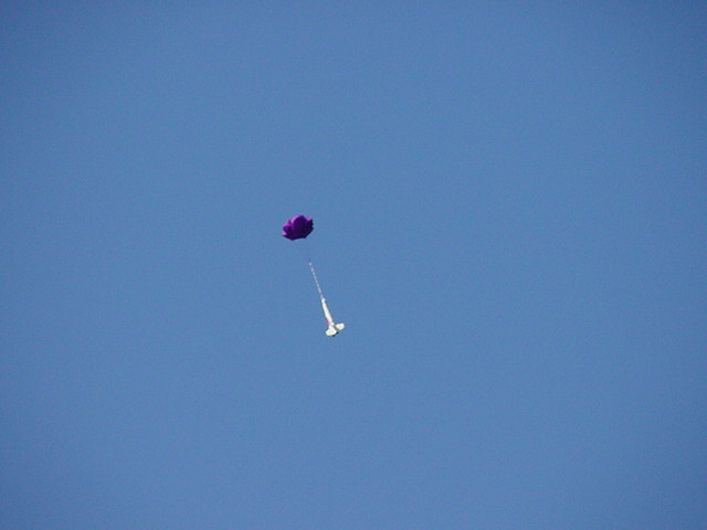 Will Carney's Python on a parachute